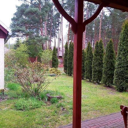 Drzewosfera Wilcze (Greater Poland) Exterior foto