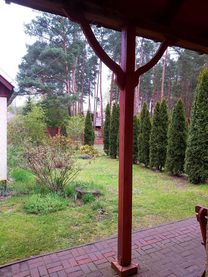 Drzewosfera Wilcze (Greater Poland) Exterior foto